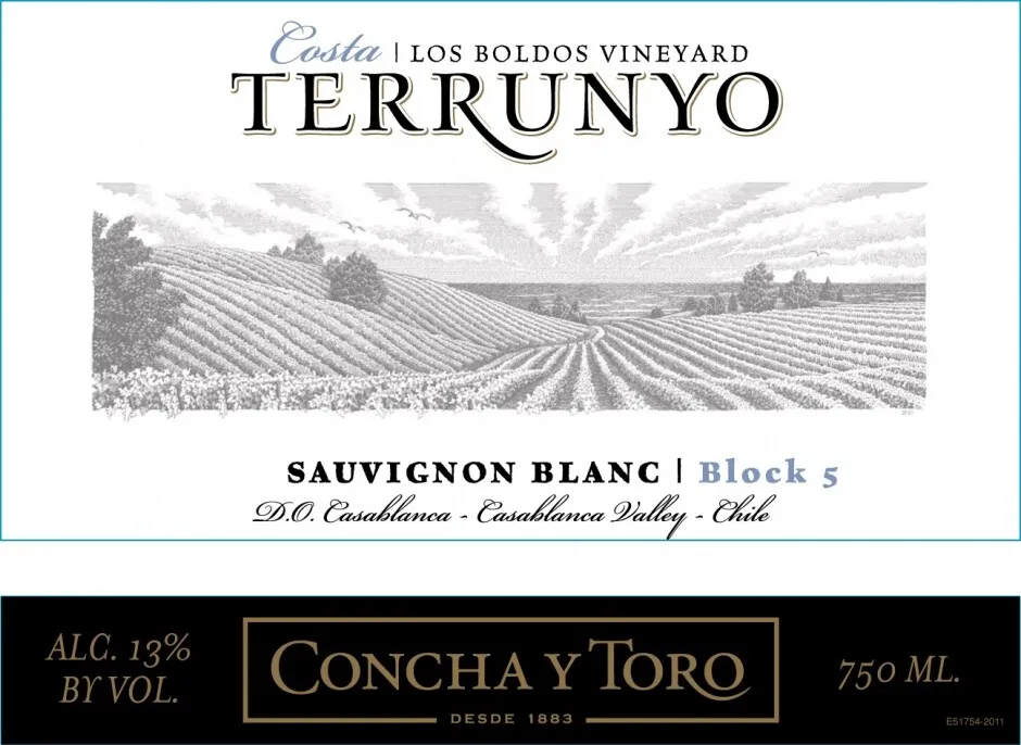 Concha y Toro 'Terrunyo' Sauvignon Blanc photo 2